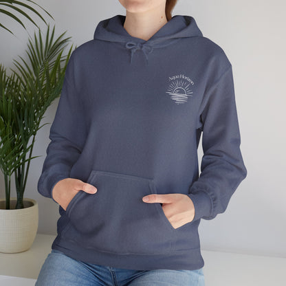 Aqua Horizon Heavy Blend™ Hooded Sweatshirt